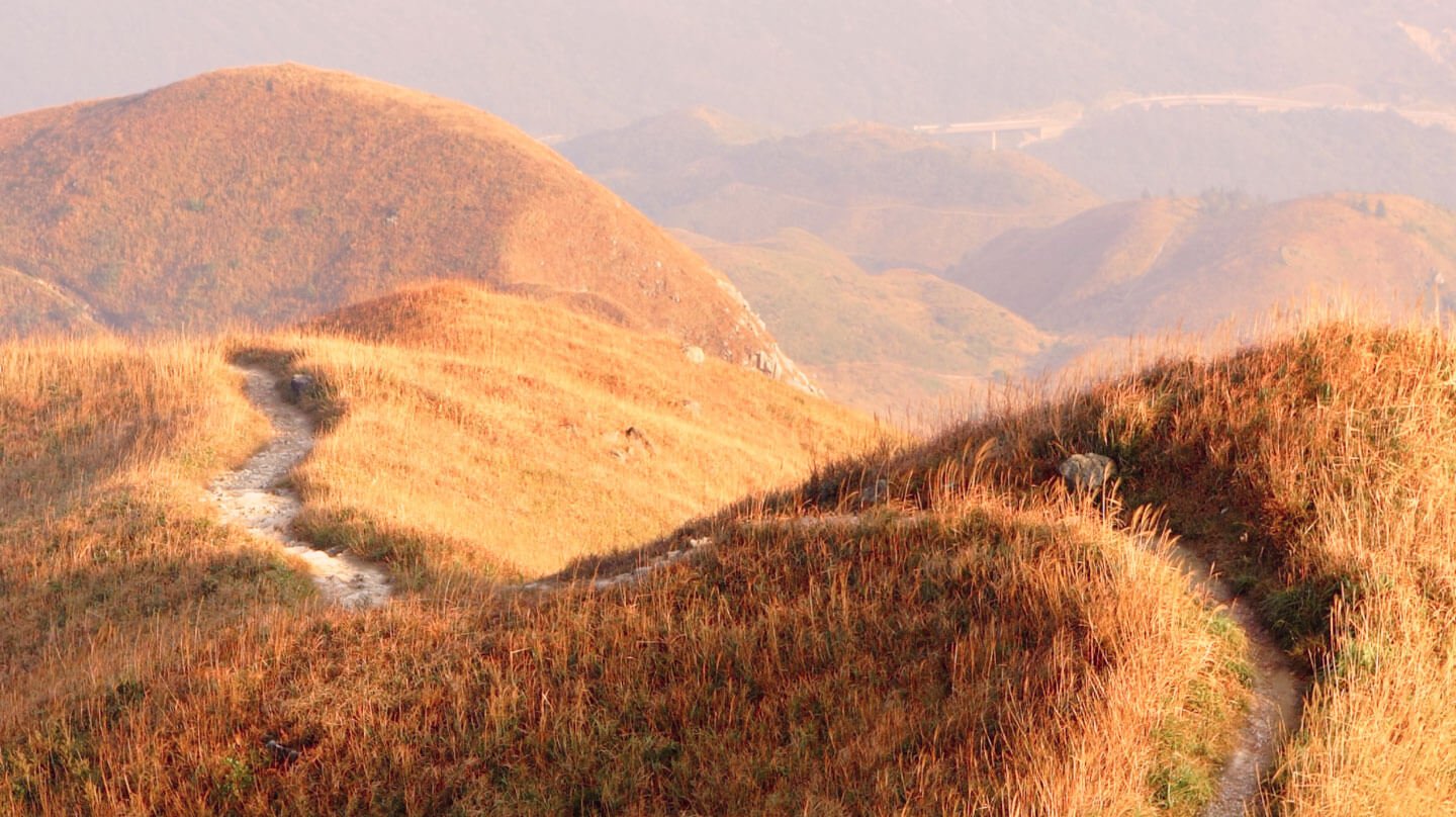 Path through a hilly landscape