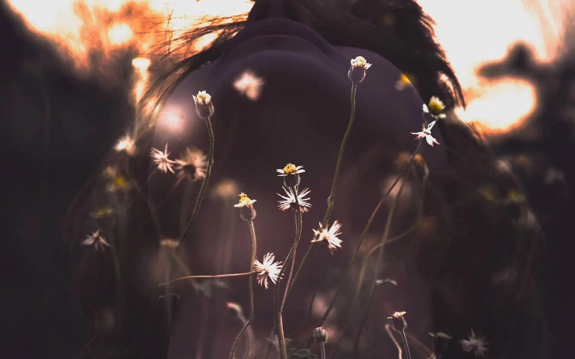 Woman's upturned face with delicate flowers in front of her, symbolizing presence with nature